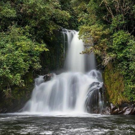 Blackfern Lodge Waimiha Экстерьер фото