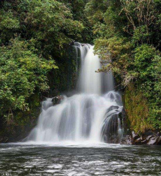 Blackfern Lodge Waimiha Экстерьер фото